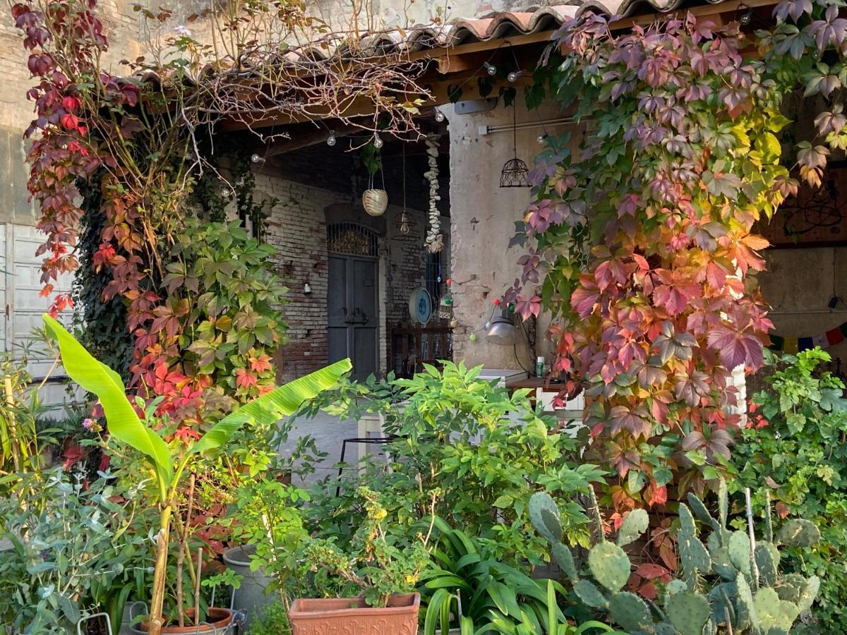 B&B Ostria Vento Medesano Exterior photo